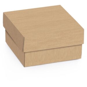 Caixa para Presente com Tampa Mini Quadr.kraft G 12X12X4CM - Imagem 2