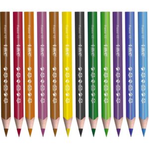 Lapis de Cor Jumbo Evolution Trian. 12 Cores - Imagem 2