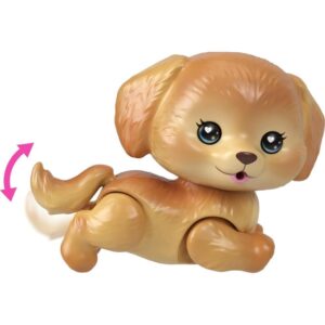 Barbie Family Amiguinhos de Estimacao (S) - Imagem 15