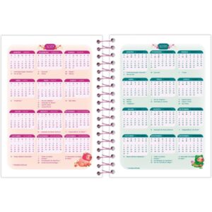 Agenda 2027 Amazzu ESP.160F. 110X154MM - Imagem 8
