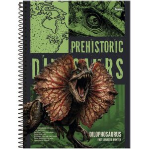 Caderno 01X1 Capa Dura Dinoverse 80FLS. - Imagem 2