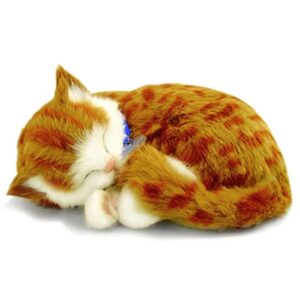 Perfect Petzzz Filhote Gato Orange Tabby - Imagem 1