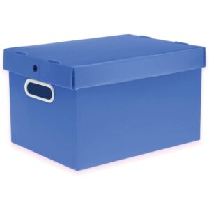 Caixa Organizadora Prontobox Azul 310X230X190 Pq - Imagem 1