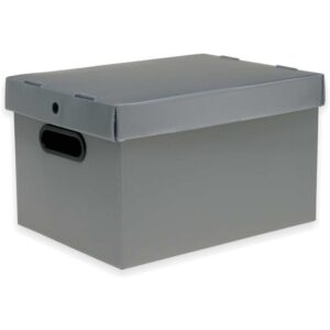 Caixa Organizadora Prontobox Prata 560X365X300 Xg - Imagem 1