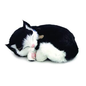 Perfect Petzzz Filhote Gato Black e White Shorthair - Imagem 1