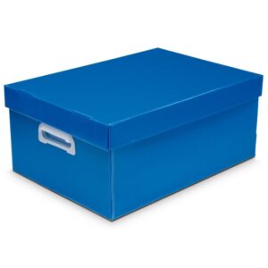 Caixa Organizadora The Best Box G 437X310X240 Az - Imagem 1