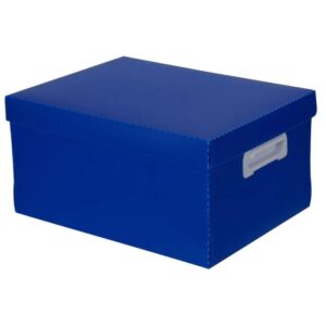 Caixa Organizadora The Best Box G 437X310X240 Az - Imagem 2