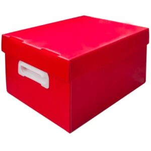 Caixa Organizadora The Best Box G 437X310X240 Vm - Imagem 1