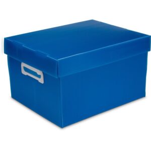 Caixa Organizadora The Best Box M 370X280X212 Az - Imagem 1