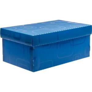 Caixa Organizadora Top Line Sapato 28X17X12CM.AZ - Imagem 1