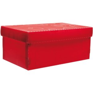 Caixa Organizadora Top Fine Sapato 28X17X12CM.VM - Imagem 1