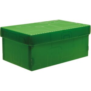 Caixa Organizadora Top Line Sapato 28X17X12CM.VD - Imagem 1