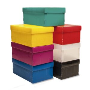 Caixa Organizadora Top Line Sapato 28X17X12CM.VD - Imagem 2