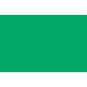 Contact Liso 45CMX10M Opaco Verde Bandeira - Imagem 3
