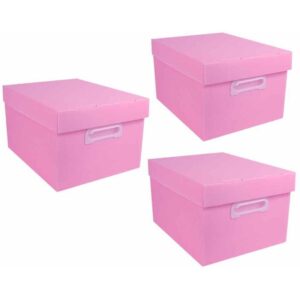 Caixa Organizadora The Best Box G 437X310X240 Rsp - Imagem 1