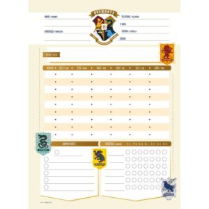 Caderno 10X1 Cp.dura Colegial Harry Potter 160FLS. I.a - Imagem 5