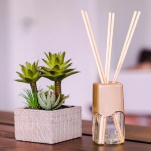 Difusor de Aroma Coala Vanilla 100ML - Imagem 2