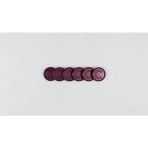 Caderno Inteligente Discos Grande 31MM 12DISCOS+ELAS.BORD - Imagem 2