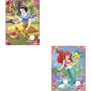 Caderno Quadriculado Univers. Princesas 40FLS Brochura 1X1CM - Imagem 1