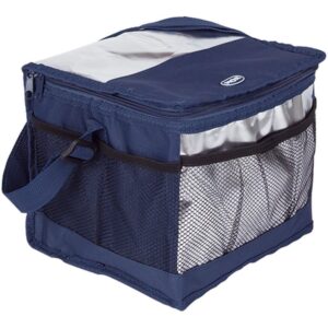 Bolsa Termica 10L Azul Marinho LAC20X20X26CM - Imagem 1