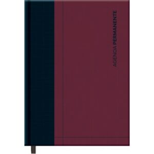 Agenda Permanente Color Executiva 192F.145X205MM - Imagem 2