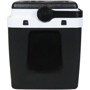 Caixa Termica 12L C/Alca e Suporte Pto/Branc - Imagem 3