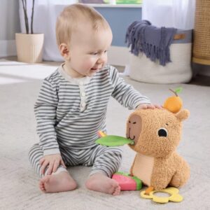 Fisher-Price Newborn Toys Capivara Divertida - Imagem 3