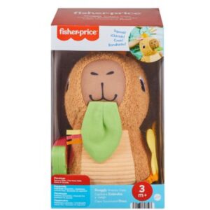 Fisher-Price Newborn Toys Capivara Divertida - Imagem 4