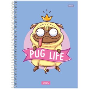 Caderno 01X1 Capa Dura Ever 80FLS. - Imagem 3