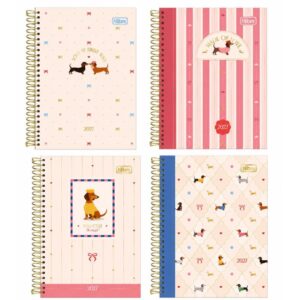 Agenda 2027 Brownie Cd Esp 160F 110X154MM - Imagem 1