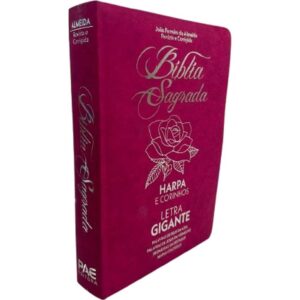 Livro de Leitura Biblia Sagrada Letras GD.832PG - Imagem 1