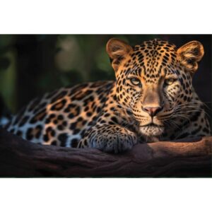 Quebra-Cabeca Cartonado Onca no Pantanal 2000 Pecas - Imagem 2