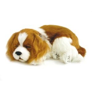 Perfect Petzzz Filhote Cachorro Cavalier King Charles - Imagem 1