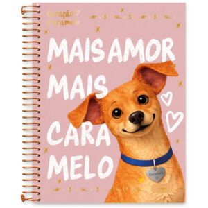 Caderno 01X1 Capa Dura Coracao Caramelo 80FLS. - Imagem 2