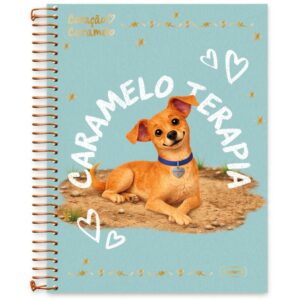 Caderno 01X1 Capa Dura Coracao Caramelo 80FLS. - Imagem 3
