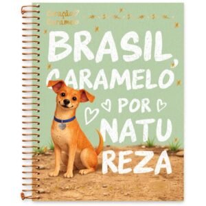 Caderno 01X1 Capa Dura Coracao Caramelo 80FLS. - Imagem 5