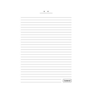 Caderno 10X1 Capa Dura Aba Pai 160FLS. - Imagem 10