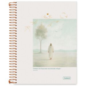 Caderno 10X1 Capa Dura Aba Pai 160FLS. - Imagem 2