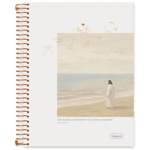 Caderno 10X1 Capa Dura Aba Pai 160FLS. - Imagem 5