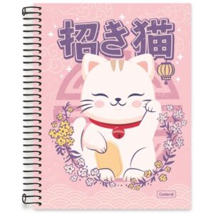 Caderno 01X1 Capa Dura Glee Misto 80FLS - Imagem 9