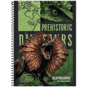 Caderno 01X1 Capa Dura Dinoverse 80FLS. - Imagem 3