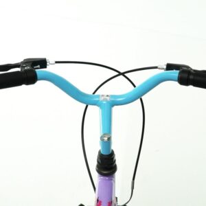 Bicicleta Aro 20 Melody Lilas/Azul C/Ces - Imagem 11