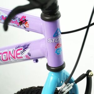 Bicicleta Aro 20 Melody Lilas/Azul C/Ces - Imagem 3