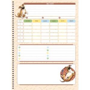 Caderno 01X1 Capa Dura Caramelo 80FLS. - Imagem 7