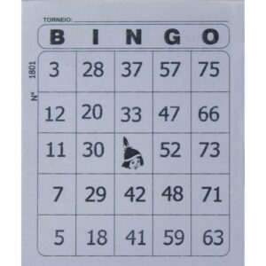 Bloco para Bingo Jornal 105X85MM 100FLS. S16-30 - Imagem 2