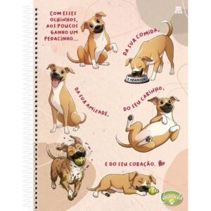 Caderno 10X1 Capa Dura Caramelo 160FLS - Imagem 2
