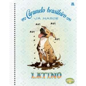 Caderno 10X1 Capa Dura Caramelo 160FLS - Imagem 3