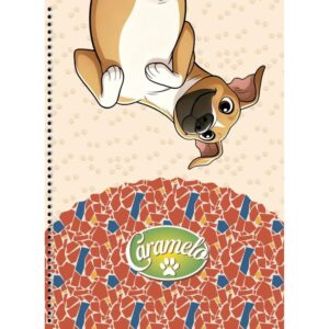 Caderno 10X1 Capa Dura Caramelo 160FLS - Imagem 5
